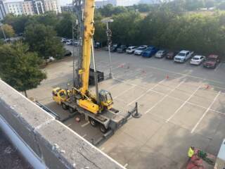 crane